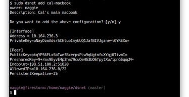 dsnet commands